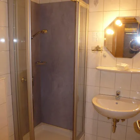 Wilder Mann Hotel 3*