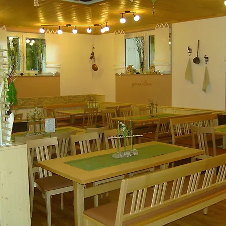Wilder Mann Hotel 3*