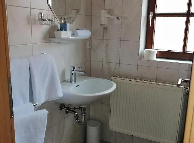 Hotel Wilder Mann 3*