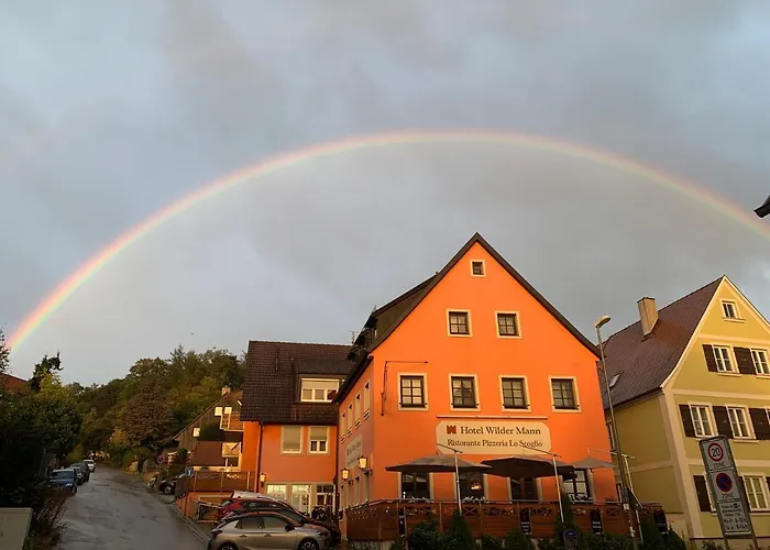 Wilder Mann Hotel 3*