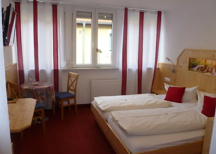 Hotel Wilder Mann 3*