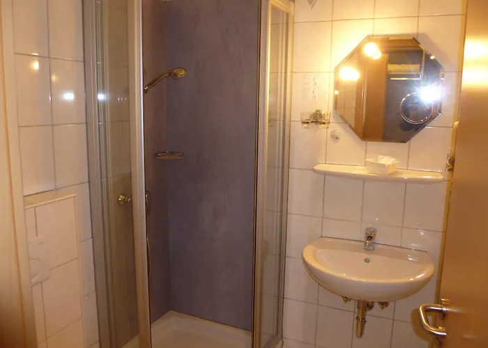 Wilder Mann Hotel 3*