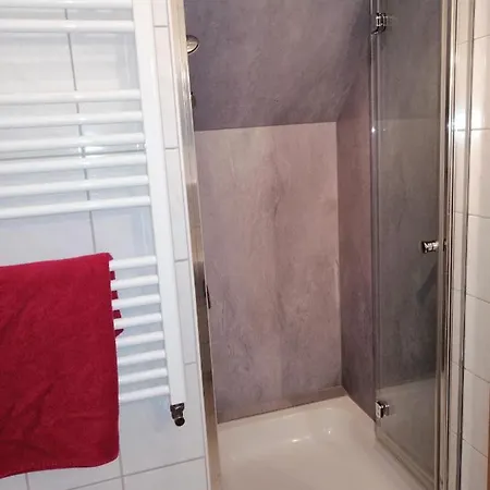 Wilder Mann Hotel 3*