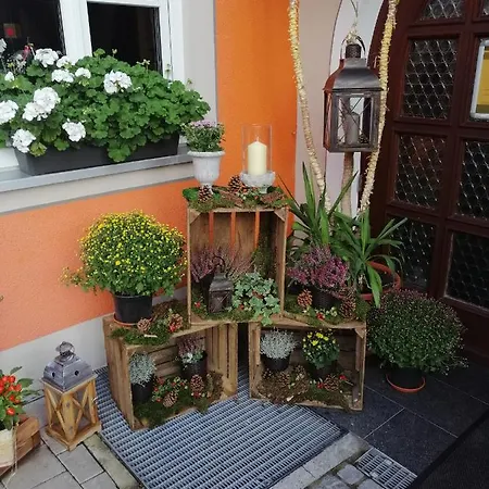 Wilder Mann Hotel 3*