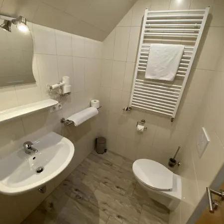 Wilder Mann Hotel 3*