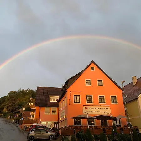 Wilder Mann Hotel 3*