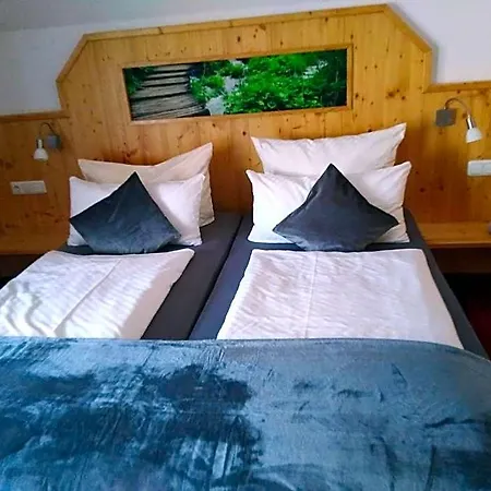 Wilder Mann Hotel 3*