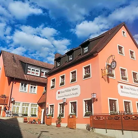 Hotel Wilder Mann 3*