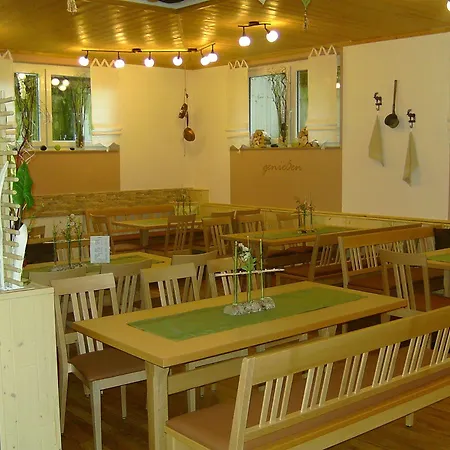 Hotel Wilder Mann
